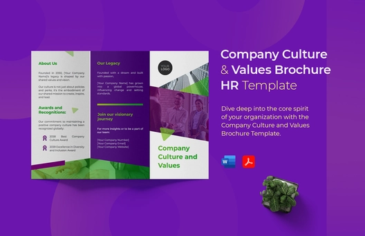 Company Culture and Values Brochure HR Template
