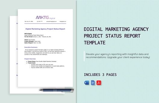 Digital Marketing Agency Project Status Report Template