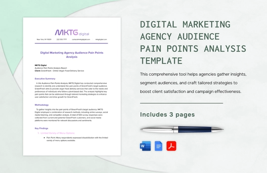 Digital Marketing Agency Audience Pain Points Analysis Template