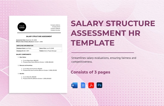 Salary Structure Assessment HR Template
