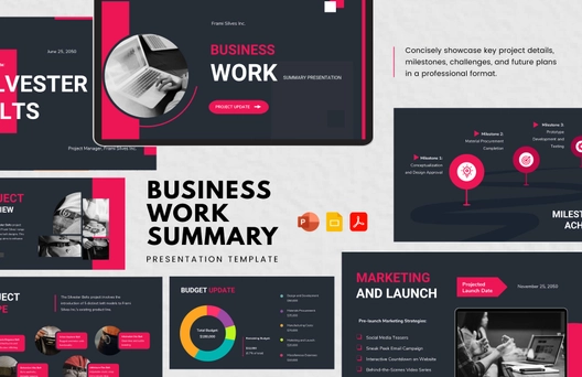 Business Work Summary Presentation Template