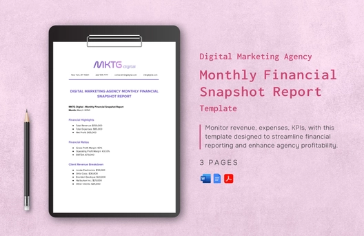 Digital Marketing Agency Monthly Financial Snapshot Report Template