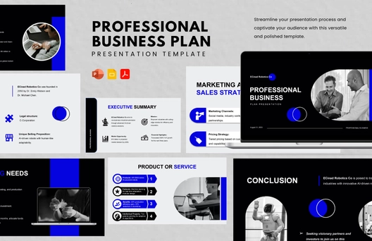 Professional Business Plan Presentation Template