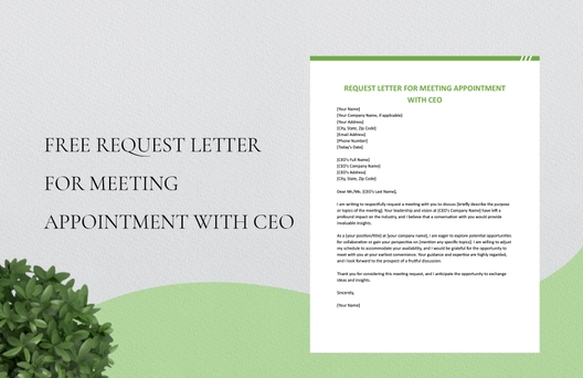 Request Letter For Meeting Appointment With Ceo