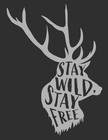 Free Tshirt Template to Edit Online