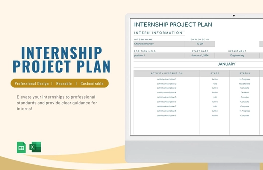 Internship Project Plan Template