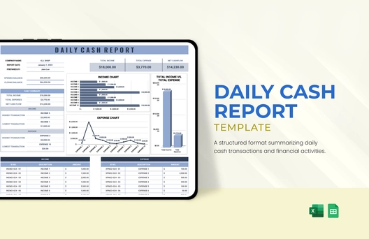 Daily Cash Report Template