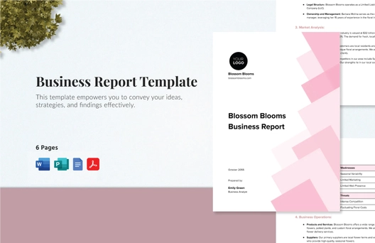 Business Report Template
