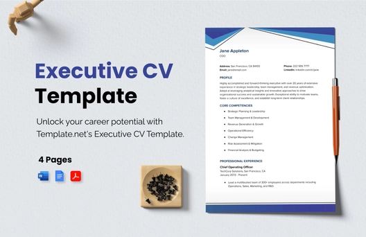 Executive CV Template