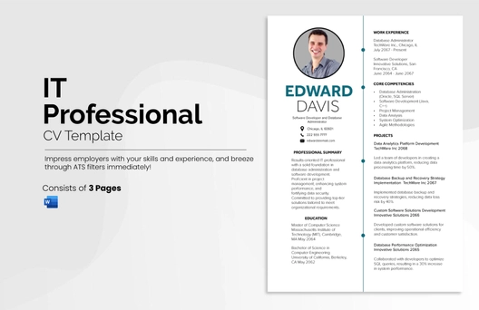 IT Professional CV Template