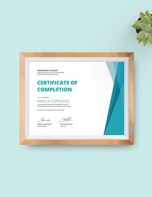 Management Training Certificate Template