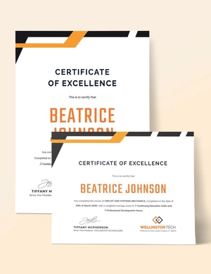 Training Excellence Award Certificate Template
