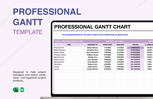 Professional Gantt Template