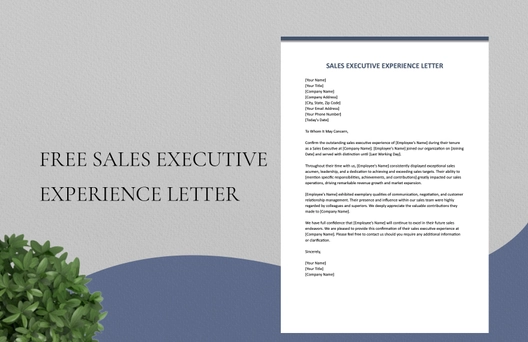 Sales Executive Experience Letter