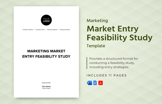 Marketing Market Entry Feasibility Study Template