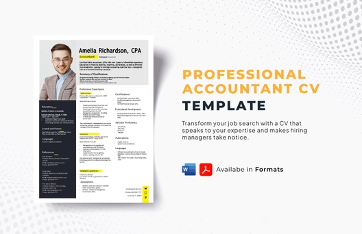 Professional Accountant CV Template