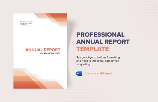 Professional Annual Report Template