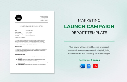 Marketing Launch Campaign Report Template