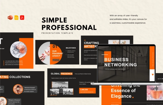 Simple Professional Presentation