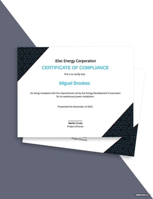 Electrical Certificate of Compliance Template