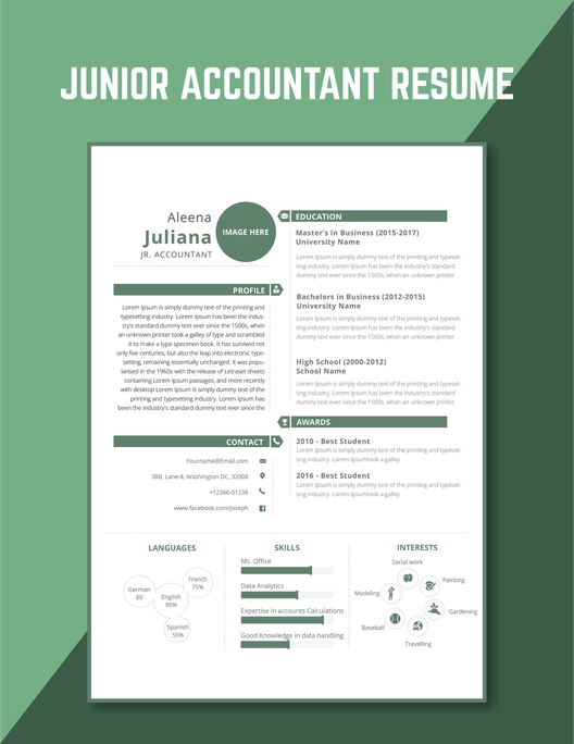 Junior Accountant Resume