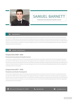 Automobile Production Controller Resume
