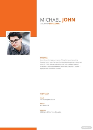 Android Developer Resume