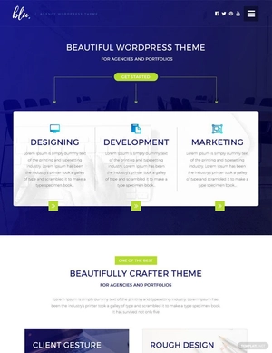 Blu Agency PSD Website Template