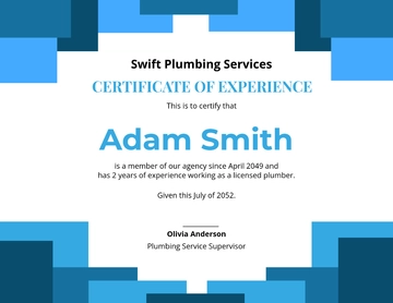 Free Plumbing Experience Certificate Template to Edit Online