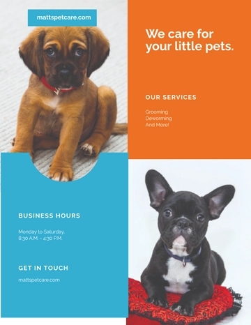 Free Pet Care Flyer Template to Edit Online
