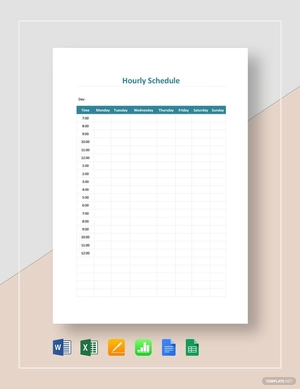 Hourly Schedule