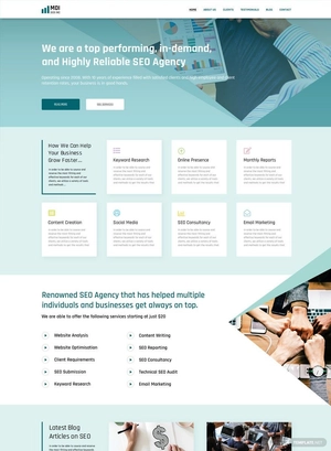 SEO Agency WordPress Theme/Template