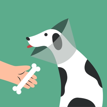 Free Pet Care Art Template Clipart to Edit Online
