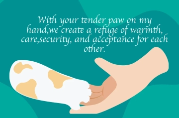 Free Pet Care Card Template to Edit Online Free Pet Care Card Template to Edit Online