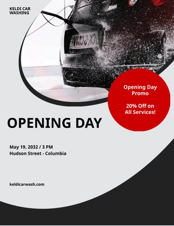 Free Basic Car Wash Flyer Template to Edit Online