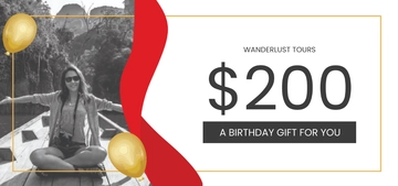 Free Birthday Travel Voucher Template to Edit Online
