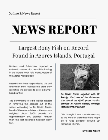 Free News Report Template to Edit Online