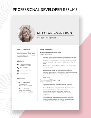 Account Assistant Resume Account Assistant Resume