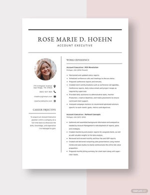 Account Executive Resume