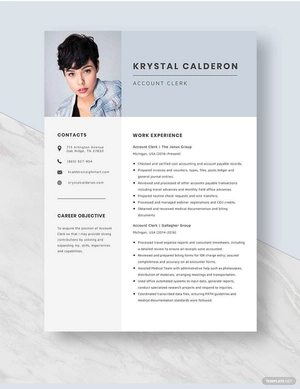 Account Clerk Resume