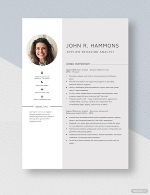 Applied Behavior Analyst Resume
