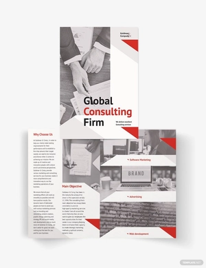 Consultant Bi-Fold Brochure Template