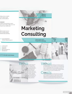 Marketing Consultant Bi-Fold Brochure Template