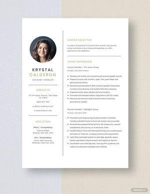 Account Handler Resume
