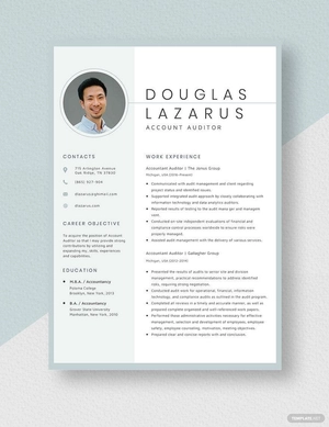 Accountant Auditor Resume