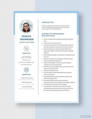 Account Team Leader Resume