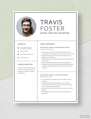 Animal Shelter Volunteer Resume