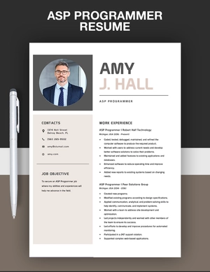 ASP Programmer Resume
