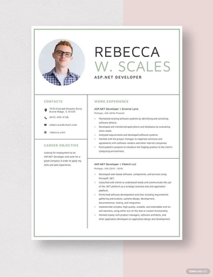 ASP.NET Developer Resume