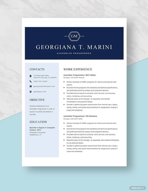 Assembler Programmer Resume
